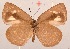  ( - MLIB-2087)  @12 [ ] CreativeCommons - Attribution Non-Commercial Share-Alike (2017) Michel Libert Centre for Biodiversity Genomics