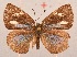  ( - MLIB-2088)  @12 [ ] CreativeCommons - Attribution Non-Commercial Share-Alike (2017) Michel Libert Centre for Biodiversity Genomics