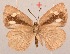  ( - MLIB-2088)  @12 [ ] CreativeCommons - Attribution Non-Commercial Share-Alike (2017) Michel Libert Centre for Biodiversity Genomics