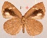  ( - MLIB-2091)  @13 [ ] CreativeCommons - Attribution Non-Commercial Share-Alike (2017) Michel Libert Centre for Biodiversity Genomics