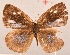  ( - MLIB-2092)  @12 [ ] CreativeCommons - Attribution Non-Commercial Share-Alike (2017) Michel Libert Centre for Biodiversity Genomics