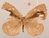 ( - MLIB-2093)  @13 [ ] CreativeCommons - Attribution Non-Commercial Share-Alike (2017) Michel Libert Centre for Biodiversity Genomics
