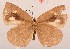  ( - MLIB-2094)  @12 [ ] CreativeCommons - Attribution Non-Commercial Share-Alike (2017) Michel Libert Centre for Biodiversity Genomics