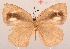  ( - MLIB-2095)  @13 [ ] CreativeCommons - Attribution Non-Commercial Share-Alike (2017) Michel Libert Centre for Biodiversity Genomics