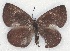  ( - MLIB-2113)  @12 [ ] CreativeCommons - Attribution Non-Commercial Share-Alike (2017) Michel Libert Centre for Biodiversity Genomics