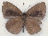  ( - MLIB-2120)  @12 [ ] CreativeCommons - Attribution Non-Commercial Share-Alike (2017) Michel Libert Centre for Biodiversity Genomics