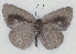  ( - MLIB-2131)  @12 [ ] CreativeCommons - Attribution Non-Commercial Share-Alike (2017) Michel Libert Centre for Biodiversity Genomics