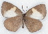  ( - MLIB-2157)  @13 [ ] CreativeCommons - Attribution Non-Commercial Share-Alike (2017) Michel Libert Centre for Biodiversity Genomics
