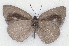  ( - MLIB-2170)  @12 [ ] CreativeCommons - Attribution Non-Commercial Share-Alike (2017) Michel Libert Centre for Biodiversity Genomics
