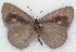  ( - MLIB-2171)  @12 [ ] CreativeCommons - Attribution Non-Commercial Share-Alike (2017) Michel Libert Centre for Biodiversity Genomics