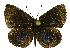  ( - MLIB-2325)  @11 [ ] CreativeCommons - Attribution Non-Commercial Share-Alike (2018) Michel Libert Centre for Biodiversity Genomics