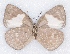  ( - MLIB-2336)  @11 [ ] CreativeCommons - Attribution Non-Commercial Share-Alike (2018) Michel Libert Centre for Biodiversity Genomics