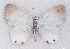  ( - MLIB-2352)  @11 [ ] CreativeCommons - Attribution Non-Commercial Share-Alike (2018) Michel Libert Centre for Biodiversity Genomics