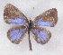  ( - MLIB-2353)  @11 [ ] CreativeCommons - Attribution Non-Commercial Share-Alike (2018) Michel Libert Centre for Biodiversity Genomics