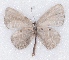  ( - MLIB-2353)  @11 [ ] CreativeCommons - Attribution Non-Commercial Share-Alike (2018) Michel Libert Centre for Biodiversity Genomics