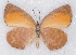  ( - MLIB-2361)  @11 [ ] CreativeCommons - Attribution Non-Commercial Share-Alike (2018) Michel Libert Centre for Biodiversity Genomics