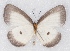  ( - MLIB-2378)  @11 [ ] CreativeCommons - Attribution Non-Commercial Share-Alike (2018) Michel Libert Centre for Biodiversity Genomics