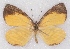  ( - MLIB-2384)  @11 [ ] CreativeCommons - Attribution Non-Commercial Share-Alike (2018) Michel Libert Centre for Biodiversity Genomics