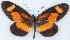  ( - MLIB-2410)  @11 [ ] CreativeCommons - Attribution Non-Commercial Share-Alike (2018) Michel Libert Centre for Biodiversity Genomics