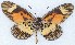  ( - MLIB-2410)  @11 [ ] CreativeCommons - Attribution Non-Commercial Share-Alike (2018) Michel Libert Centre for Biodiversity Genomics