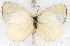  ( - MLIB-2509)  @11 [ ] CreativeCommons - Attribution Non-Commercial Share-Alike (2019) Michel Libert Centre for Biodiversity Genomics