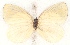  ( - MLIB-2514)  @11 [ ] CreativeCommons - Attribution Non-Commercial Share-Alike (2019) Michel Libert Centre for Biodiversity Genomics