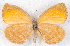 ( - MLIB-2518)  @11 [ ] CreativeCommons - Attribution Non-Commercial Share-Alike (2019) Michel Libert Centre for Biodiversity Genomics