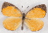  ( - MLIB-2519)  @11 [ ] CreativeCommons - Attribution Non-Commercial Share-Alike (2019) Michel Libert Centre for Biodiversity Genomics