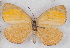  ( - MLIB-2519)  @11 [ ] CreativeCommons - Attribution Non-Commercial Share-Alike (2019) Michel Libert Centre for Biodiversity Genomics