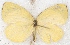  ( - MLIB-2608)  @11 [ ] by-nc-na (2020) Michel Libert Centre for Biodiversity Genomics