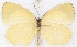 ( - MLIB-2609)  @11 [ ] by-nc-na (2020) Michel Libert Centre for Biodiversity Genomics