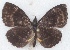 ( - MLIB-2633)  @11 [ ] by-nc-na (2020) Michel Libert Centre for Biodiversity Genomics