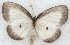  ( - MLIB-2653)  @11 [ ] by-nc-na (2020) Michel Libert Centre for Biodiversity Genomics