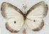  ( - MLIB-2654)  @11 [ ] by-nc-na (2020) Michel Libert Centre for Biodiversity Genomics