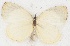  ( - MLIB-2667)  @11 [ ] by-nc-na (2020) Michel Libert Centre for Biodiversity Genomics