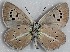  ( - MLIB-2690)  @11 [ ] by-nc-na (2020) Michel Libert Centre for Biodiversity Genomics