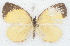  ( - MLIB-2743)  @11 [ ] by-nc-na (2021) Michel Libert Centre for Biodiversity Genomics