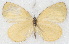  ( - MLIB-2743)  @11 [ ] by-nc-na (2021) Michel Libert Centre for Biodiversity Genomics
