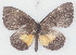  ( - MLIB-2750)  @11 [ ] by-nc-na (2021) Michel Libert Centre for Biodiversity Genomics