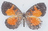  ( - MLIB-2758)  @11 [ ] by-nc-na (2021) Michel Libert Centre for Biodiversity Genomics