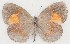 ( - MLIB-2762)  @11 [ ] by-nc-na (2021) Michel Libert Centre for Biodiversity Genomics