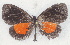  ( - MLIB-2764)  @11 [ ] by-nc-na (2021) Michel Libert Centre for Biodiversity Genomics