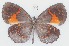  ( - MLIB-2765)  @11 [ ] by-nc-na (2021) Michel Libert Centre for Biodiversity Genomics
