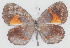  ( - MLIB-2767)  @11 [ ] by-nc-na (2021) Michel Libert Centre for Biodiversity Genomics
