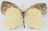  ( - MLIB-2771)  @11 [ ] by-nc-na (2021) Michel Libert Centre for Biodiversity Genomics
