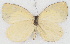  ( - MLIB-2771)  @11 [ ] by-nc-na (2021) Michel Libert Centre for Biodiversity Genomics