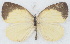  ( - MLIB-2772)  @11 [ ] by-nc-na (2021) Michel Libert Centre for Biodiversity Genomics