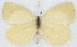  ( - MLIB-2772)  @11 [ ] by-nc-na (2021) Michel Libert Centre for Biodiversity Genomics