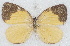  ( - MLIB-2773)  @11 [ ] by-nc-na (2021) Michel Libert Centre for Biodiversity Genomics