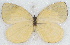  ( - MLIB-2773)  @11 [ ] by-nc-na (2021) Michel Libert Centre for Biodiversity Genomics